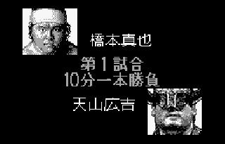 Screenshot Thumbnail / Media File 1 for Shin Nihon Pro Wrestling Toukon Retsuden (J) [M]